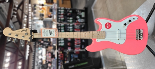 Store Special Product - Squier - 037-3802-511